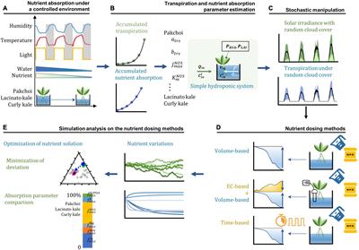 Nutrient Dosing Framework for an Emission-Free Urban Hydroponic Production